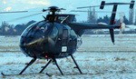 Le MD 500 F-GZGM piloté par Eric Gadot - Photo © Patrick Gisle