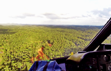 A perte de vue, la forêt guyanaise. Tout vol qui part au-dessus de cette étendue doit obligatoirement faire l'objet d'un ou plusieurs plans de vol déposé (un par étape) © Patrick GISLE
