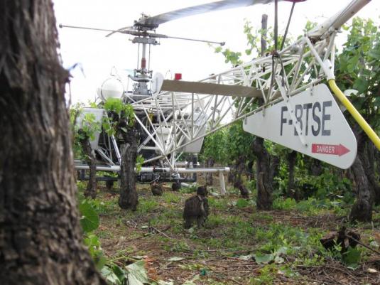 Le Bell 47 G2 immatriculé F-BTSE dans les vignes