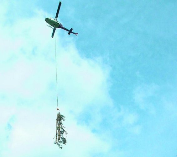 2,5 tonnes de grumes accrochées à un câble de 80 m, l'hélico survole la vallée et vient se mettre en vol stationnaire - Photo DDM, Nicole Gathié
