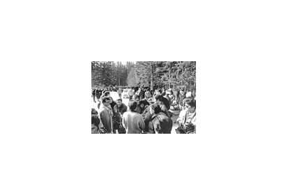 Curieux et journalistes aux abords de la DZ des Bois - Photo DR