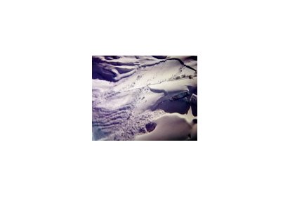 Recherche après une avalanche - Photo Francis Delafosse