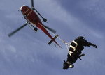 Une vache héliportée par l'AS350 B3 HB-ZCZ - Photo collection JMP