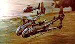 Gazelle en escadrille 4e DAM Fort Fermont - Photo DR