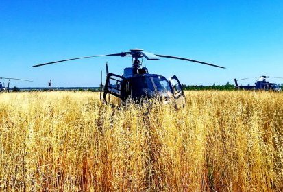 Qui a oublié de faucher ? Entre Aix et Montpellier - Photo © Nico (...)